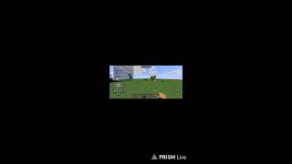 MINECRAFT TokenSteal day 9