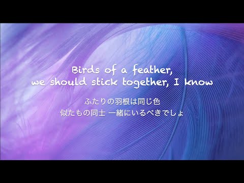 BIRDS OF A FEATHER - Billie Eilish [和訳]