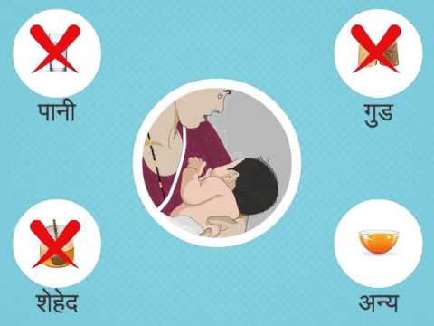 Nutrition Video Animation IIT Bombay Nov 2015