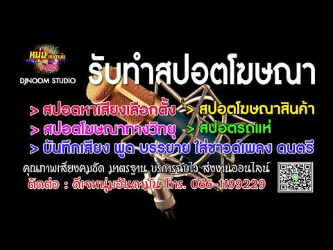 สปอต แอมเนสตี้