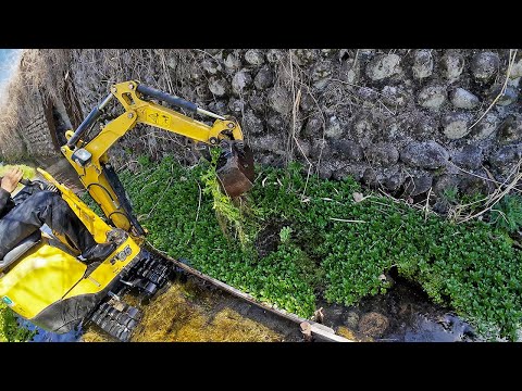 ちびユンボで大量の水草を除去する【2024】