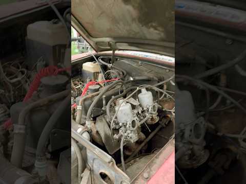 Swamp MGB Lives? #MGB #cartok #classiccars