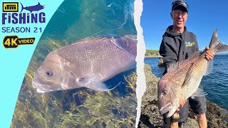 Winter Rockfishing