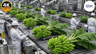 Inside a Massive High-Tech US Banana Fiber Factory: From Waste to Wealth (Full Process)