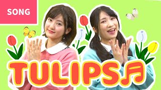 ♬TULIPS (🇯🇵Chūrippu)【In Japanese with English subtitle】~Japanese Traditional Song~