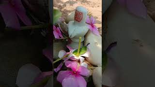 शिव मंदिर से खाली लोटा नहीं लेकर आना चाहिए #ytshort#pandit_pradeep_ji_mishra #pardeepmishra #virel.