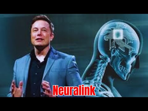 Can Elon Musk's Brain Chip Help Cure Paralysis Miami Study Aims to Find Out