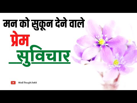 मन को सुकून देने वाले प्रेम सुविचार || Aaj ka Suvichar | Anmol Vachan | Acche Vichar | Hindi Thought