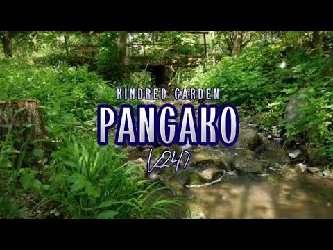 PANGAKO | Kindred Garden | K24/7 (Cover) | MusiKaraoke