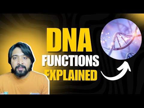 DNA Functions Explained: The Computer of Life! 💻