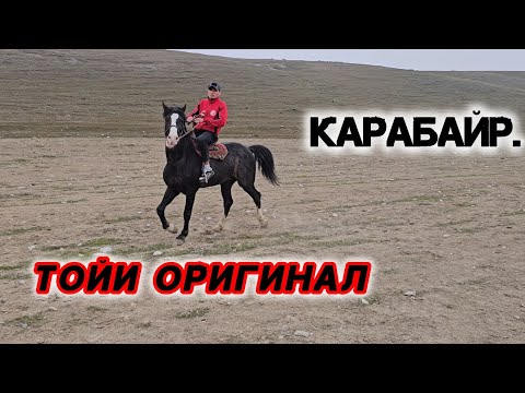 АСПИ БУЗИ КАРАБАЙР 5-ФЕВРАЛ 2025Г