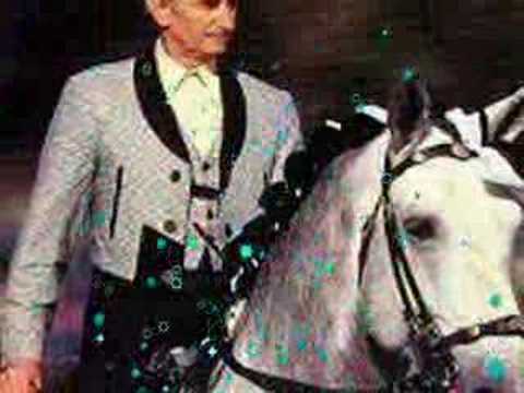 Lusitano horses