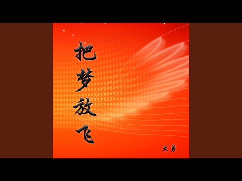把梦放飞