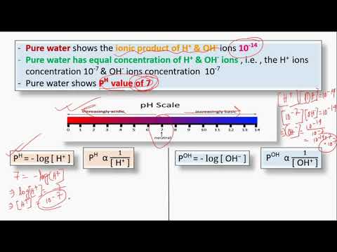 PH & BUFFER || Biochemistry || BioStudy Pathshala || Life Sciences