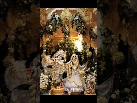 #trending #radhekrishna #radhe #radhekrishnastatus #radheshyam #radherani #radhekrishnabhajan #ram🙏🙏
