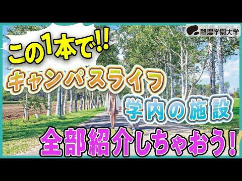 酪農学園大学のキャンパスライフ＆施設を見ちゃおう！