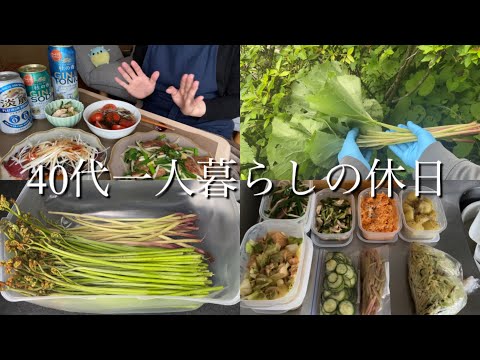 【40代一人暮らしの休日】山菜採り/家飲み