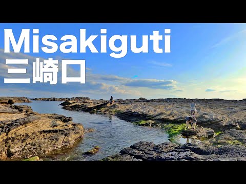 4K Japan Walk - Fish Market Walk at Misakiguti
