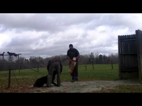 A little bite work for old times
