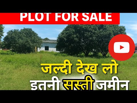 👉 “इतनी सस्ती ज़मीन! जल्दी देख लो | Haldwani Plot For Sale | Haldwani property Kirola”