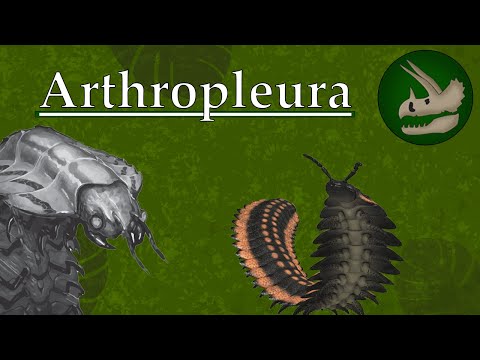 Arthropleura | The Creepy Crawly King | Dino Basics