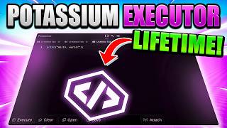 Is Potassium Executor The Best New Executor? 100% SUNC/UNC & Undetected (2026)