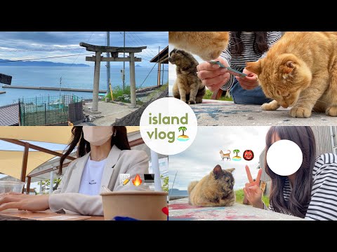 Alone in cat island🏝️香川の島1人旅 | 島での出会い | visit islands with me🐈