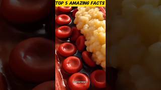 Healthy Body Ke Liye Roz Khao Ye 5 Foods🤩💯#facts #healthadvice #healthybody #youtubeshorts