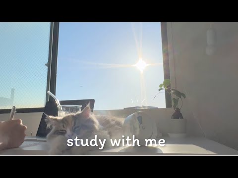 🌅  STUDY WITH ME !  / 1hour / Relaxing Music & Sunrise in Japan