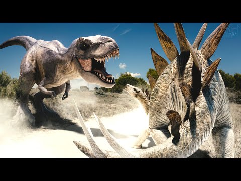 Meet the Stegosaurus: Spiked Tail, Armored Plates, and More!