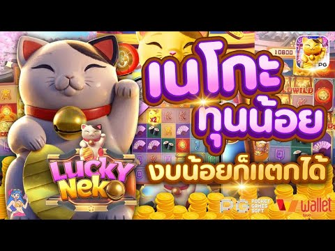 สล็อต เกมใหม่pg สล็อตแตกง่าย l เจ้าแมวไม่เคยทำให้ผิดหวัง