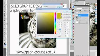 How to Learn Professional Web Design  UK