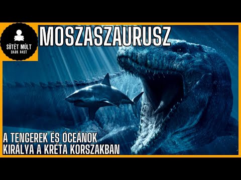 A dinoszauruszok korában élő tengerek királya. Moszaszaurusz röviden