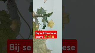 Bij se khira kese ugaye #khirakikheti #pradoshkeupaypradeepmishraji