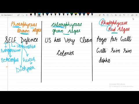 Ultimate trick to learn NCERT examples of Alage in 3 minute