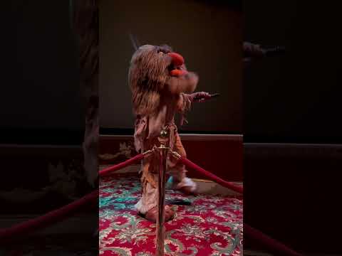 Sweetums in Muppet Vision at Disney’s Hollywood Studios ￼#themuppets #disneyworld #disney #muppets