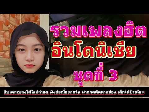 🎶 รวมเพลงอินโดนีเซียเพราะๆ ฟังสบายเพลงฮิตจาก TikTok & YouTube ที่กำลังมาแรงในอินโดนีเซีย V.3
