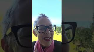 Stop Forcing It 😉What Happens When You Let Go of the Struggle | Daily Grounding Inspirationeflection