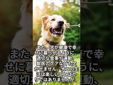 犬との共同生活で学んだことの話 #shorts