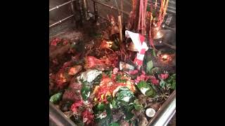 #jay mata di#sonmer mandir wali maa#sache darbar ki jay#🙏🙏🙏