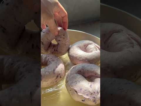 บลูเบอร์รี่เบเกิ้ล นวด ขึ้นรูป ต้ม อบ เป็นอันจบพิธี #ช่างแป้ง #baking #บุรีรัมย์ #bagel