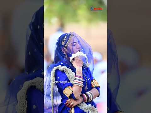 #rajasthani #rajsthanilovesong #lovemusic #love #bishnoism #lovesong #rajasthanilovesong #lovedance