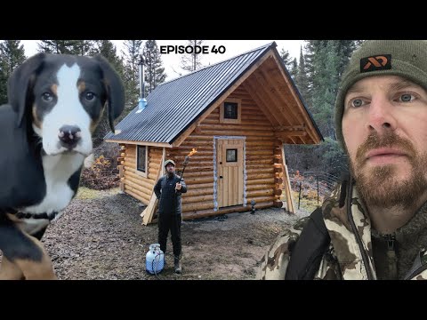 Log Cabin Build on Off-Grid Homestead |EP40| Woodshed, Shou Sugi Fire Preservation