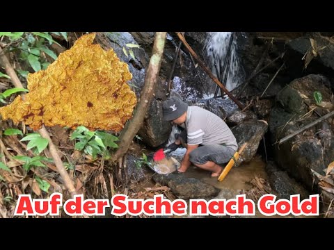 Auf der Suche nach Gold in der Wildnis