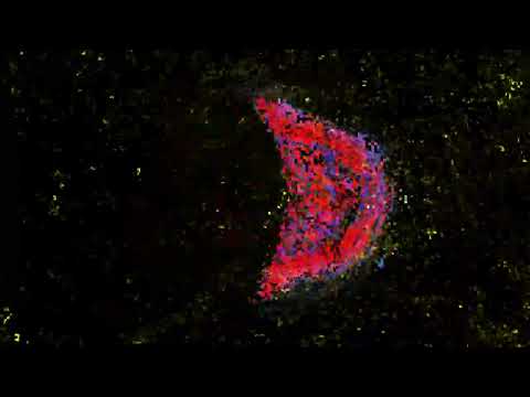 BEEHIVE - illion 　Self-made PV