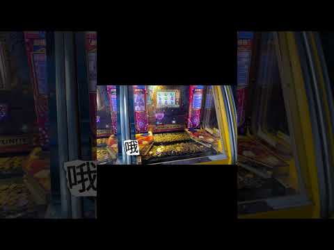 今天的马戏团推币毫无收获！很遗憾！