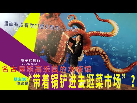 什么？！在名古屋的SEALIFE里有4个人才能抬的动的鱼？| 爪子的独行 另类逛法去水族馆