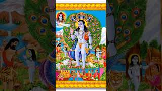 #jaibababalaknathji #jaijogidi 🕉️🙏🏻🙏🚩🪯🐯🔱