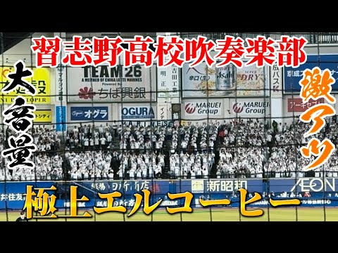 習志野高校吹奏楽部による大音量『極上エルコーヒー』が激アツすぎた