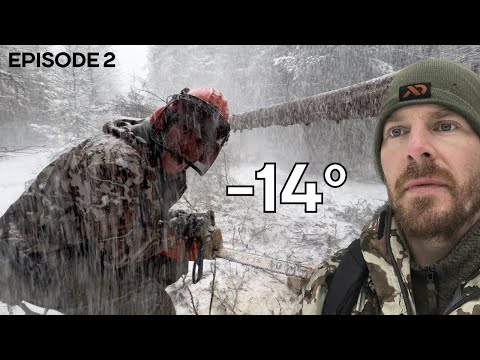 Winter Log Cabin Build on Off-Grid Homestead |EP2|